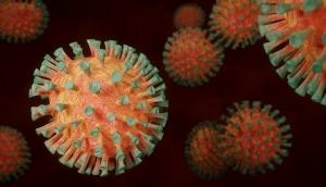 Coronavirus New Variant: Second Omicron case in Delhi as Zimbabwe returnee tests positive